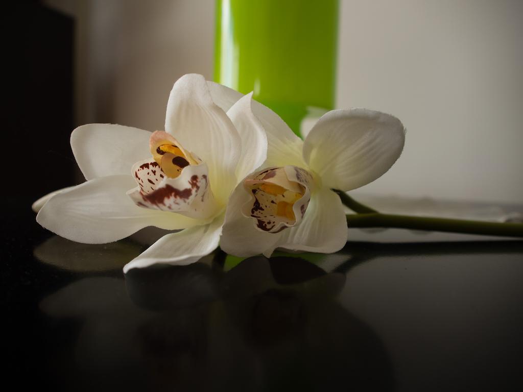 Green Park Apartments ชวีโนวิชแจ ภายนอก รูปภาพ