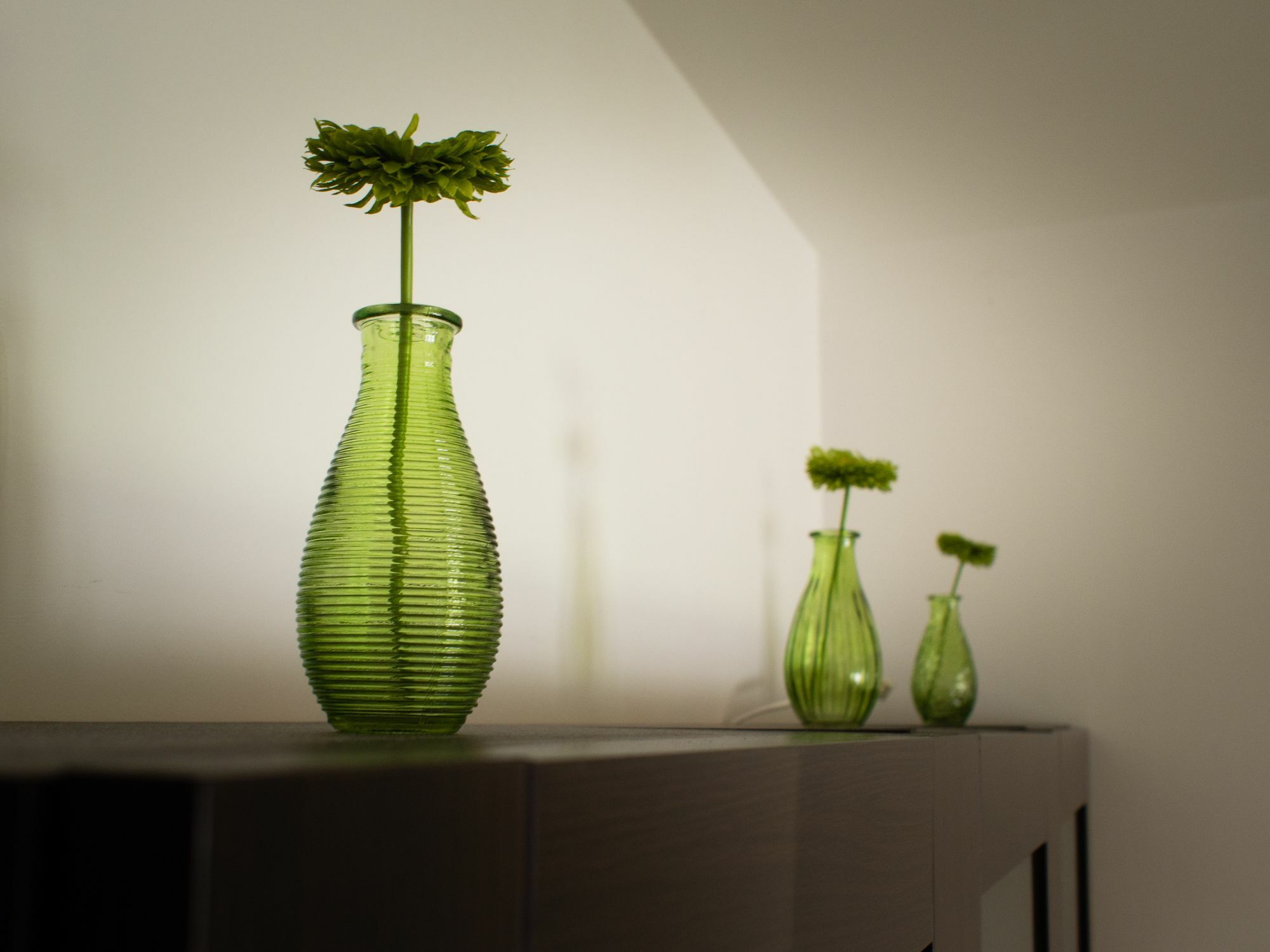 Green Park Apartments ชวีโนวิชแจ ภายนอก รูปภาพ